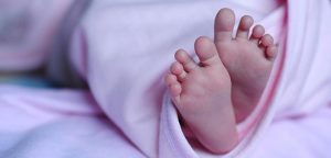 gencsohbet.org